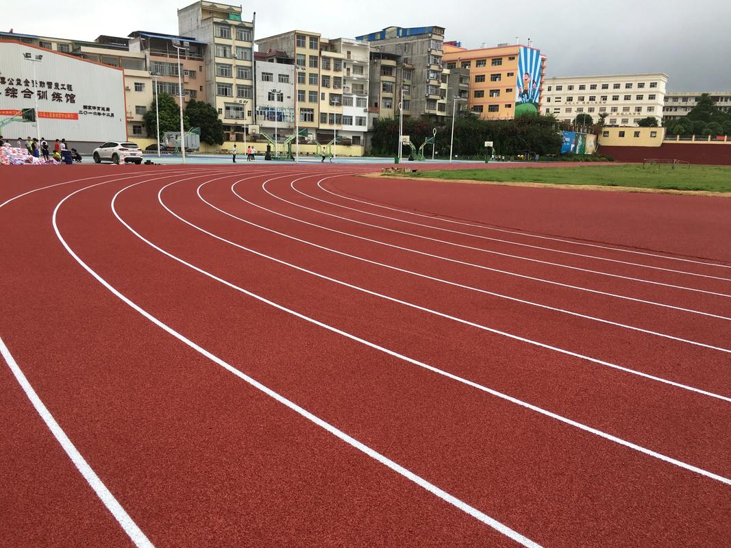 防城港市硅PU材料塑胶跑道材料 - 方案